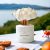 Balaton Breeze flower diffuser