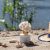 Paradise Beach Flower diffuser