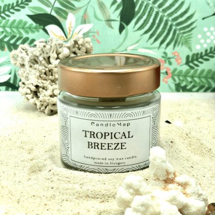 Tropical Breeze soy wax candles 200 ml